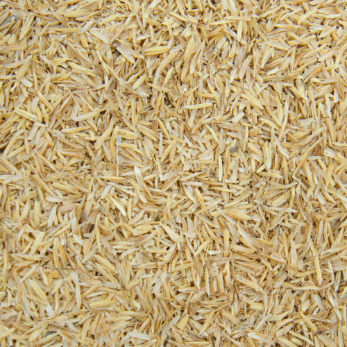 Trấu Có Thể Tái Sử Dụng Bao Nhiêu Lần?