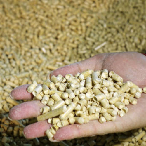 Hiệu Quả Kinh Tế Khi Chuyển Từ Than Sang Trấu Viên