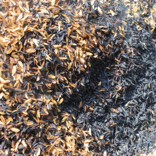 Cách Sử Dụng Giá Thể Trấu Hun Hiệu Qủa