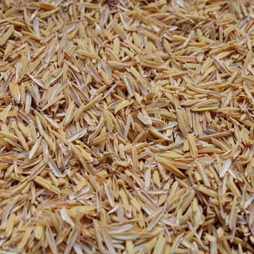 Vì Sao Vỏ Trấu Nhẹ Nhưng Cách Nhiệt Tốt?