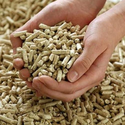 Viên Nén Trấu Và Tiềm Năng Xuất Khẩu: Vì Sao Thế Giới Đang “Săn Lùng”?