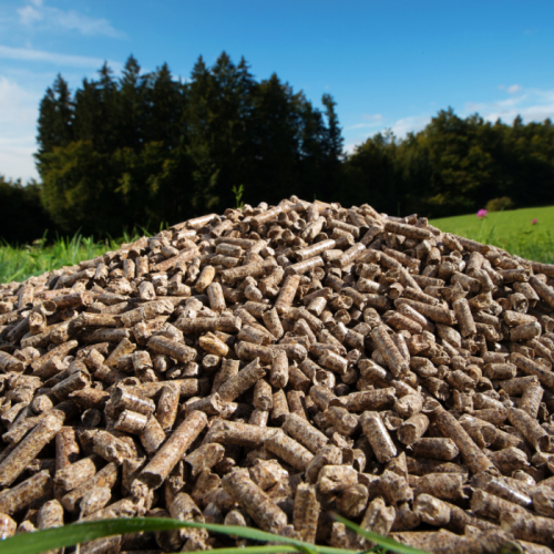 Vì Sao Trấu Viên Được Xem Là Nhiên Liệu Xanh?