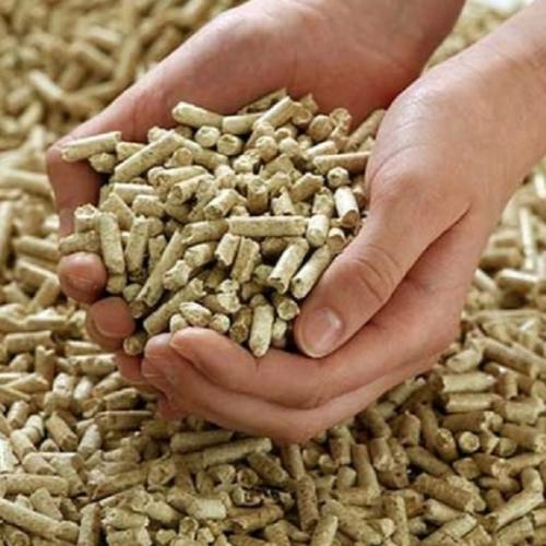 Tiếm Năng Bứt Phá Cuả Viên Trấu Nén Trong Điện Sinh Khối Tại Việt Nam