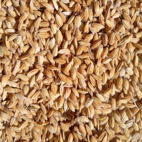 Vì Sao Nhà Vườn Sử Dụng Vỏ Trấu Để Trồng Cây?