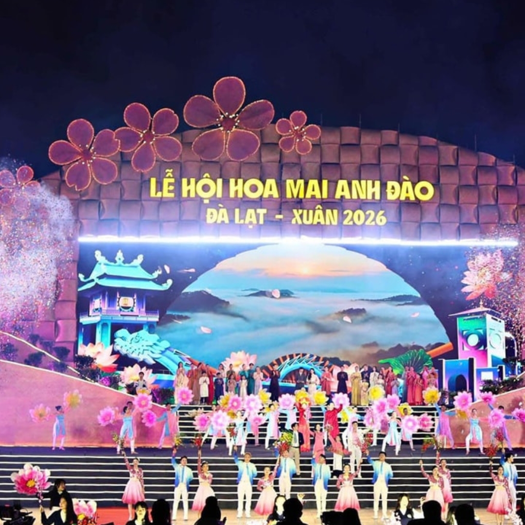 Khai Mạc Lễ Hội Hoa Mai Anh Đào Đà Lạt - Xuân 2026
