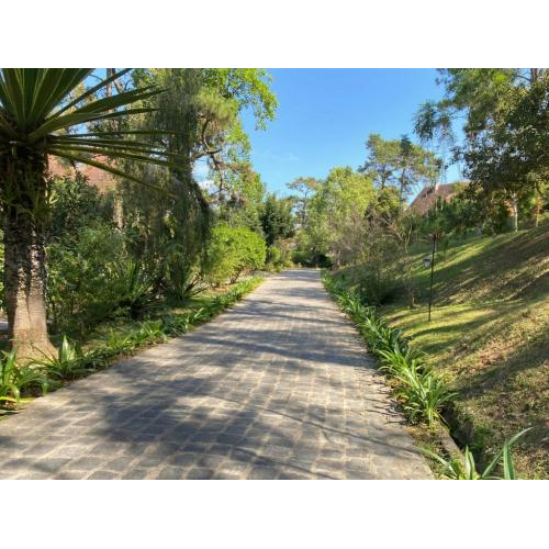 Anna Mandara Dalat Trong Tôi: Một Chút Tiếc Nuối Giữa Không Gian Quá Đẹp