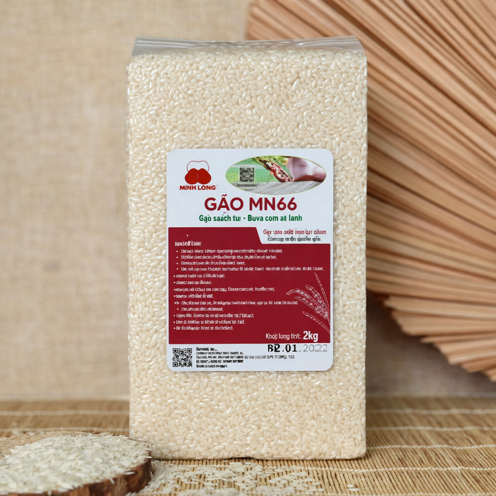 Gạo MN66 – Lựa Chọn Gạo Sạch Cho Bữa Cơm Gia Đình Việt