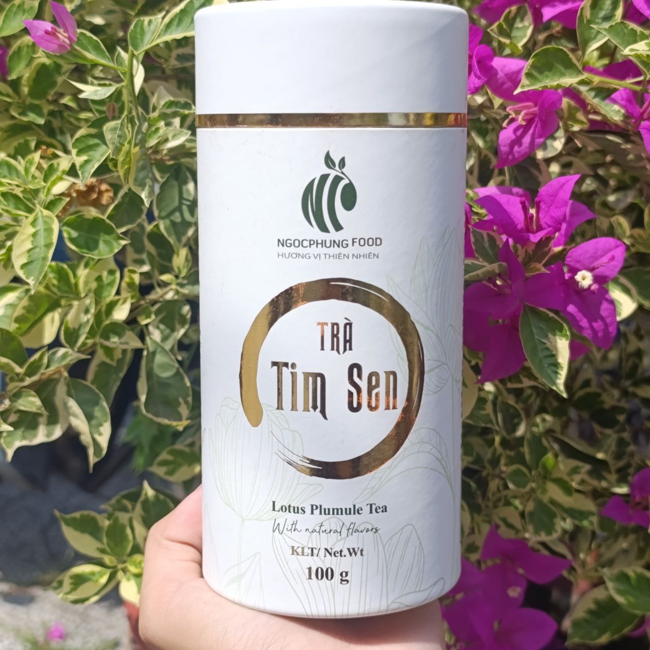 Trà Tim Sen – Bí quyết ngủ ngon, sống an yên từ thiên nhiên