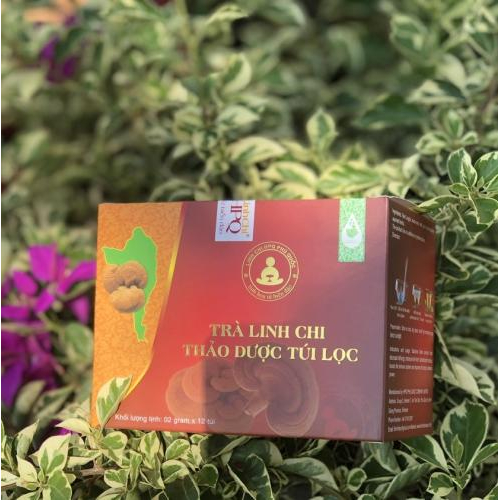 Trà Linh Chi Thảo Dược-Tự Nhiên