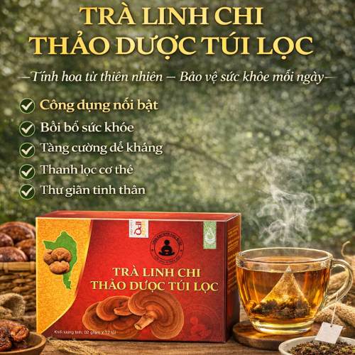 Linh Chi An Nhiên Giúp Gì Cho Người Dùng ?