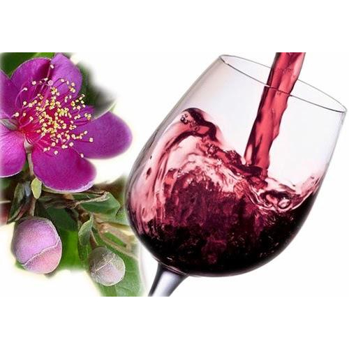 Công Ty Cổ Phần Sim Rừng Phú Quốc