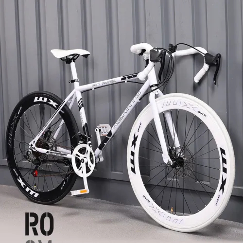 Xe Đạp Thể Thao Đường Phố – Ngoại Hình Đẹp, Vận Hành Êm Ái