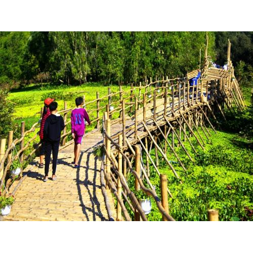 Công Ty Du Lịch Rừng Tràm Trà Sư