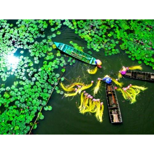 Công Ty Du Lịch Rừng Tràm Trà Sư