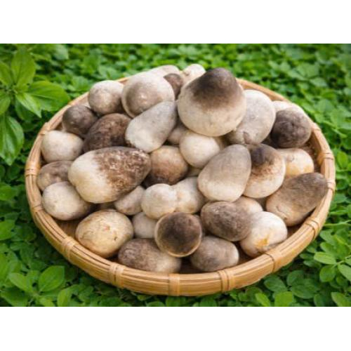 Nước Mắm Nấm Rơm - Hương Cá Hồi 500ml