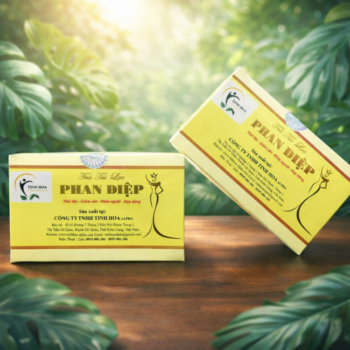 TRÀ TÚI LỌC PHAN DIỆP – VỆ TINH GIÁ THÀNH