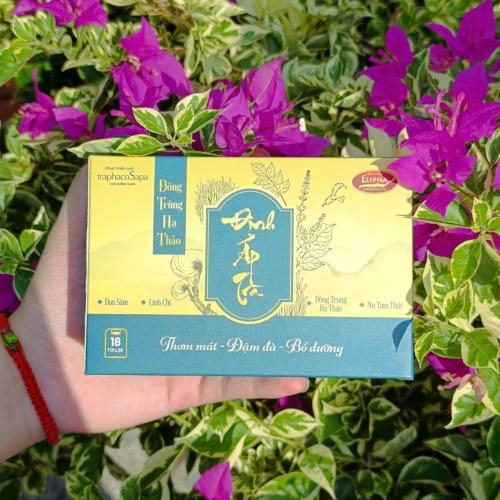 Trà Đinh Lăng Đông Trùng Hạ Thảo