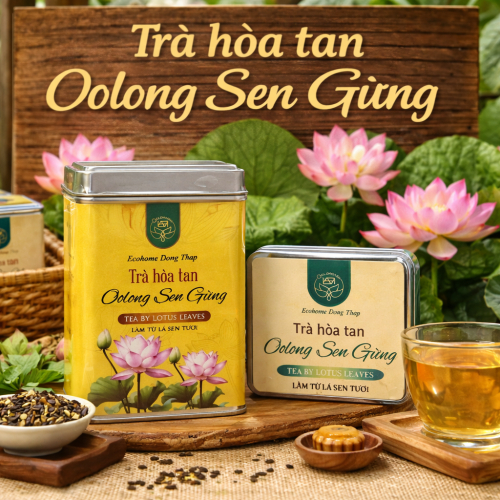 Tinh Hoa Sen Gừng Giúp Gì Cho Người Dùng?