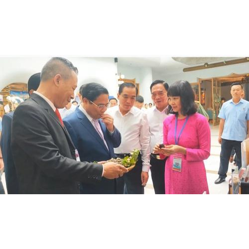 Công Ty Cổ Phần Sim Rừng Phú Quốc