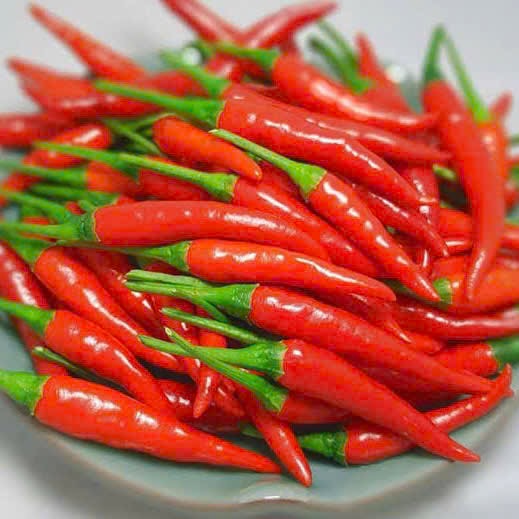 Ớt – Gia Vị Tạo Vị Cay Đặc Trưng