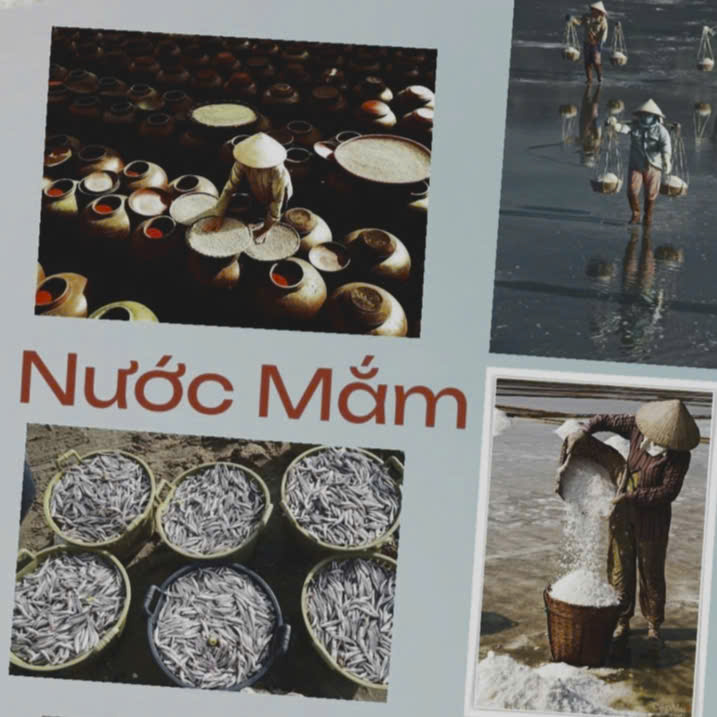 Nước mắm là gì và vai trò trong ẩm thực Việt