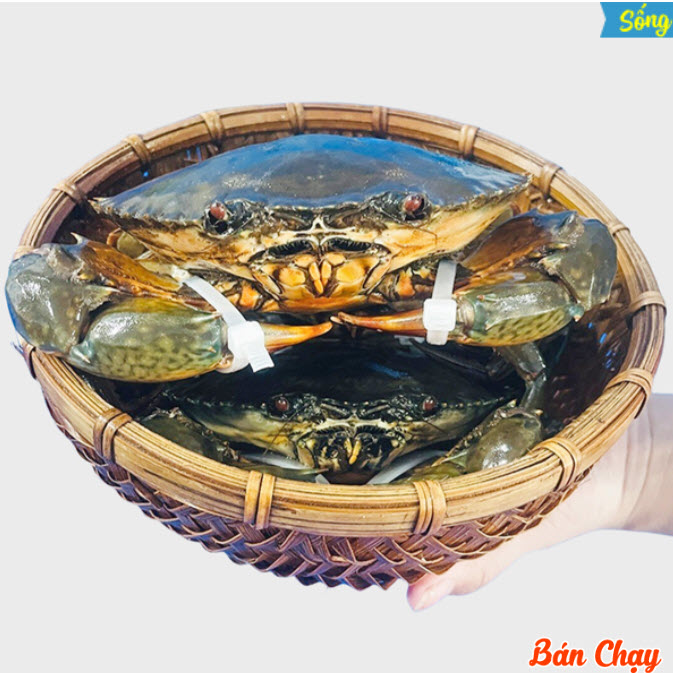 Cua Đồng Cà Mau – Tươi Ngon Mỗi Ngày