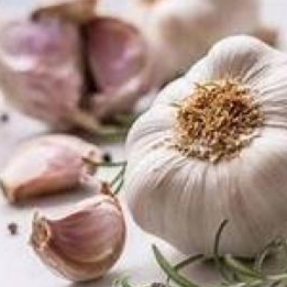 Hành Tỏi – Bộ Đôi Gia Vị Không Thể Thiếu