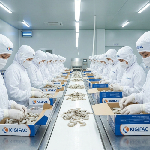 CÔNG TY CỔ PHẦN THỦY SẢN KIÊN GIANG (KIGIFAC)