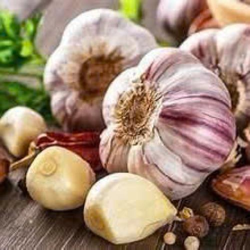 Tỏi Người Rác Cổng Vĩ Đại Cho Sức Khỏe Trong Mỗi Gian Bếp Việt