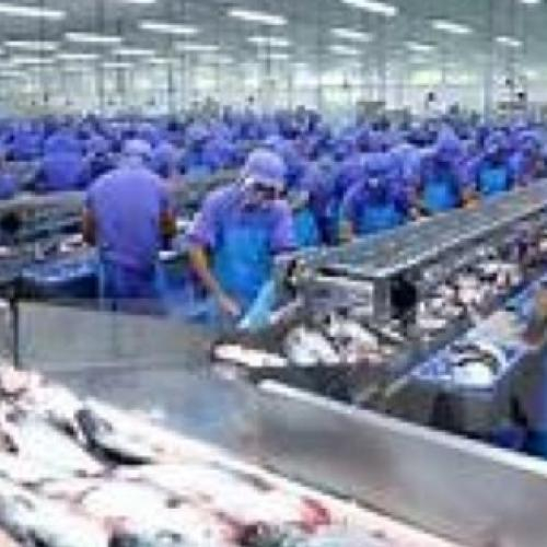 Công Ty Cổ Phần Thủy Sản Nam Việt