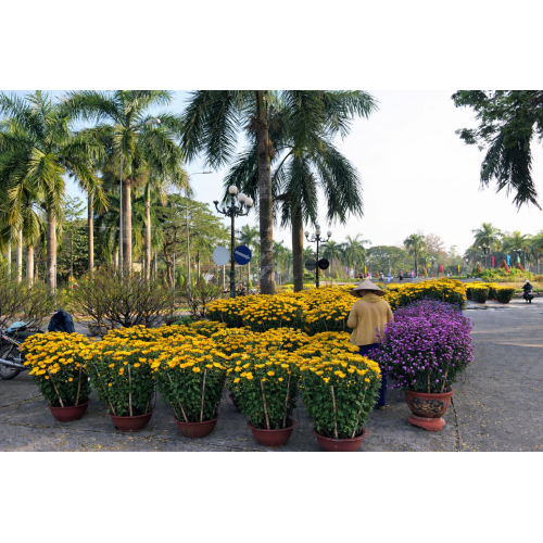 Công Ty Cổ Phần Du Lịch Cần Thơ (Cantho Tourist)