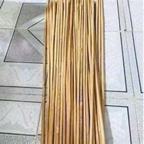 Cây Roi Mây Tươi Xanh Dài 80cm Roi Mây Dẻo Dai Đa Công Dụng, Không Gãy, Không Mối Mọt
