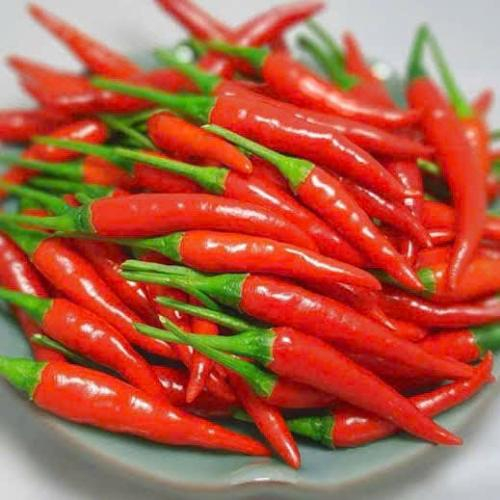 Ớt – Gia Vị Tạo Vị Cay Đặc Trưng
