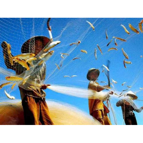 Vì sao nước mắm là linh hồn của ẩm thực Việt?