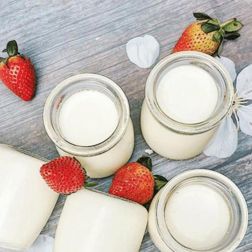 Cách Làm Sữa Chua Tại Nhà Cực Kì Đơn Giản