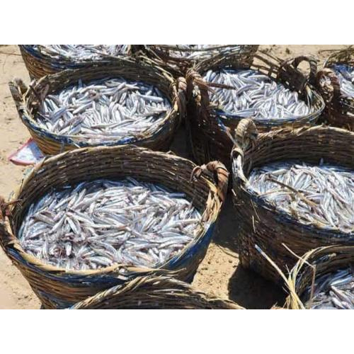 Vì sao nước mắm là linh hồn của ẩm thực Việt?