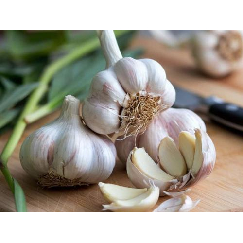 Tỏi phi trong nấu ăn – Bí quyết tạo hương thơm và tăng độ hấp dẫn cho món ăn