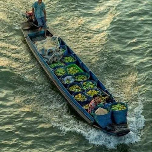 Vỏ Lãi Miền Tây