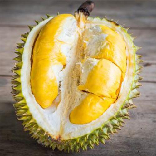 Tác Dụng Của Sầu Riêng: Sự Tuyệt Vời Của “Vua Trái Cây”