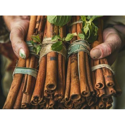 Quế trong nấu ăn – Gia vị tạo mùi ấm và chiều sâu cho món ăn