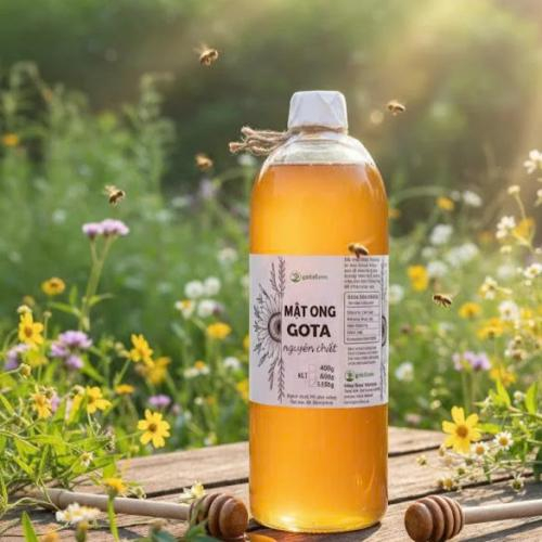 Mật ong nguyên chất Gota