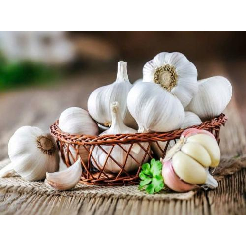 Tỏi phi trong nấu ăn – Bí quyết tạo hương thơm và tăng độ hấp dẫn cho món ăn