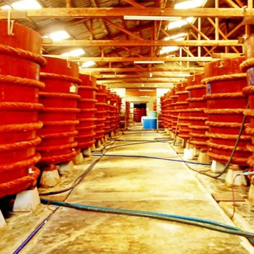 Nước Mắm Phú Quốc Khải Hoàn Có Lợi Ích Gì ?