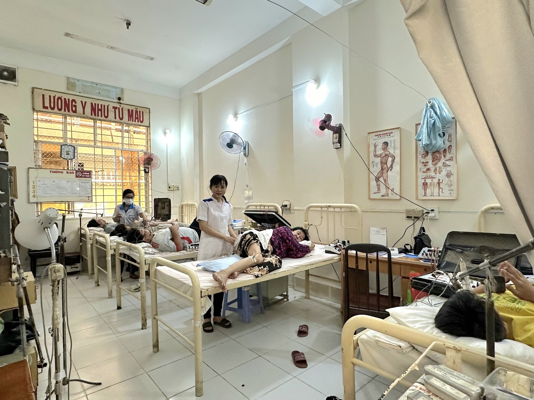 Lịch sử hình thành và phát triển