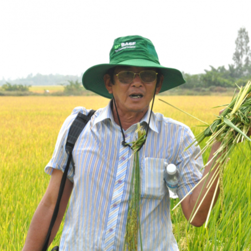 Hành Trình Đưa Gạo Việt Lên Ngôi Ngon Nhất Thế Giới Của AHLĐ Hồ Quang Cua