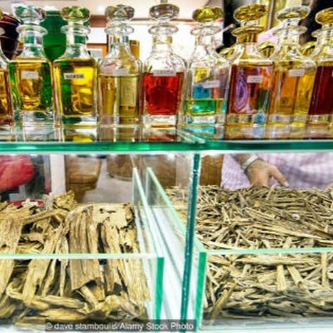 Trầm Hương - Món Vàng Hấp Dẫn Cả Thế Giới