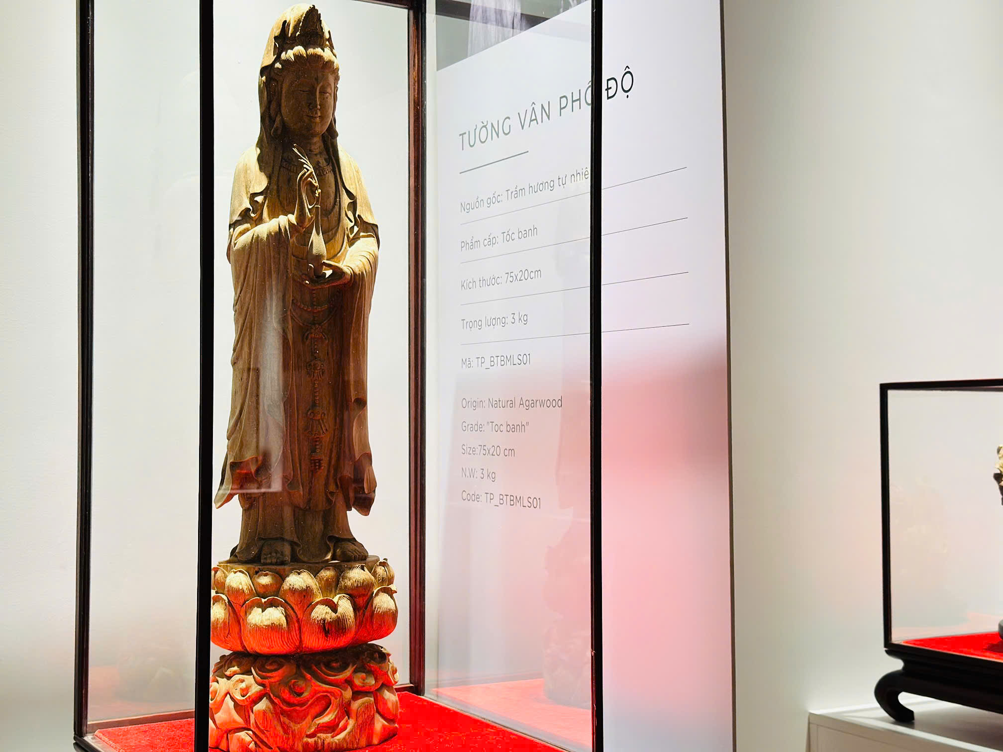 Thành phần & Chất liệu