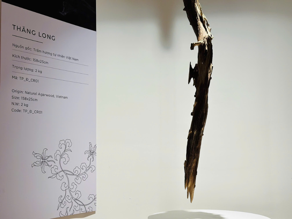 Nguồn gốc và chất liệu