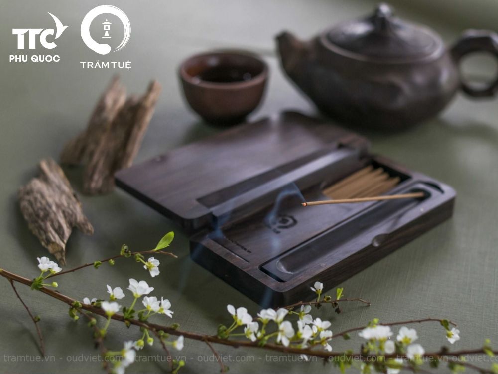 Giới thiệu về sản phẩm