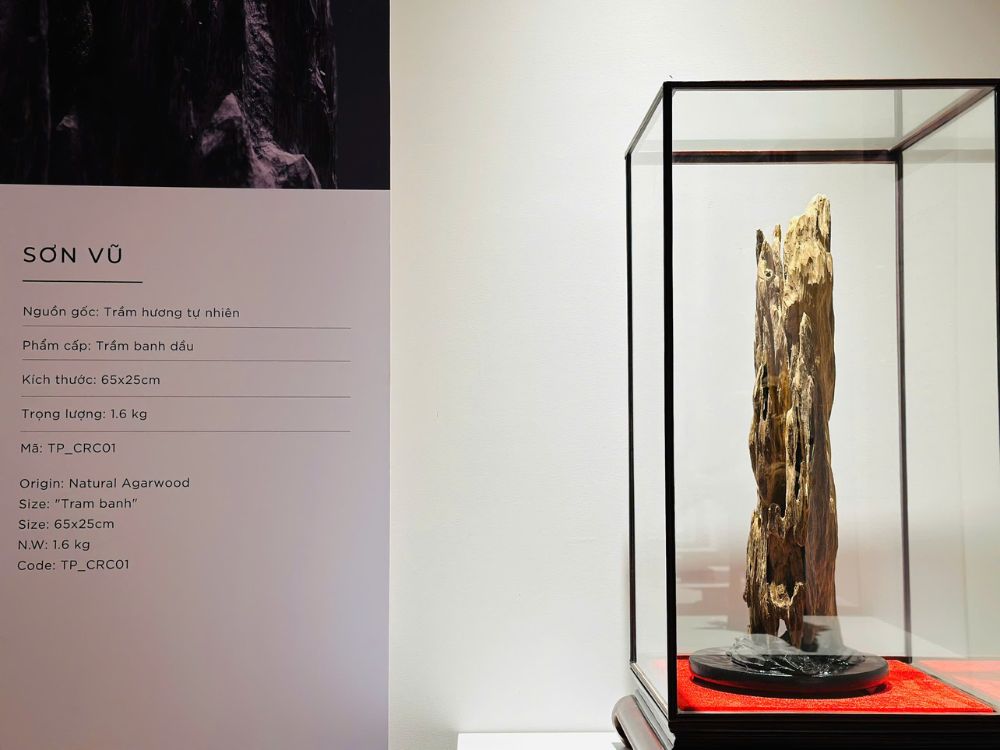 Giới thiệu về sản phẩm